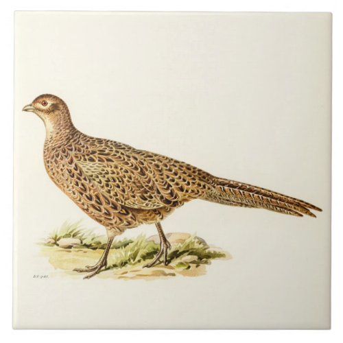 Vintage Pheasant Countryside Illustration Ceramic  Ceramic Tile