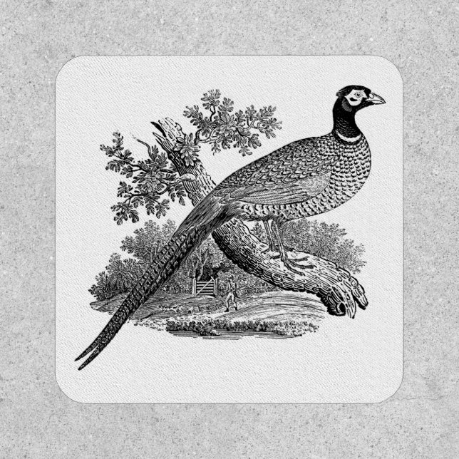 Vintage Pheasant Game Bird Drawing BW Patch (Front)