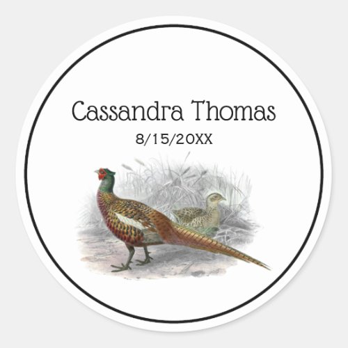 Vintage Pheasant Game Bird Drawing Color 2 Classic Round Sticker