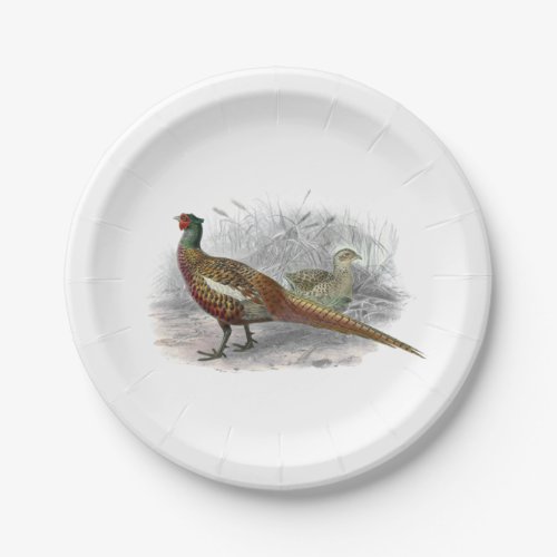 Vintage Pheasant Game Bird Drawing Color 2 Paper Plates