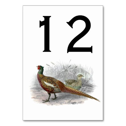 Vintage Pheasant Game Bird Drawing Color 2 Table Number
