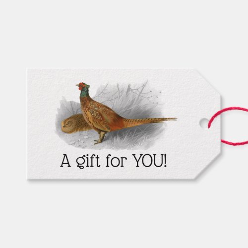 Vintage Pheasant Game Bird Drawing Color 3 Gift Tags