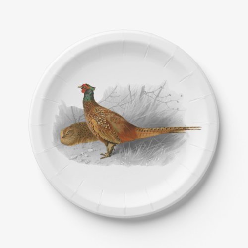 Vintage Pheasant Game Bird Drawing Color 3 Paper Plates