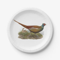 Vintage Pheasant Game Bird Drawing Color