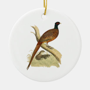 Vintage Pheasant on Branch Game Bird Drawing Color Ceramic Ornament