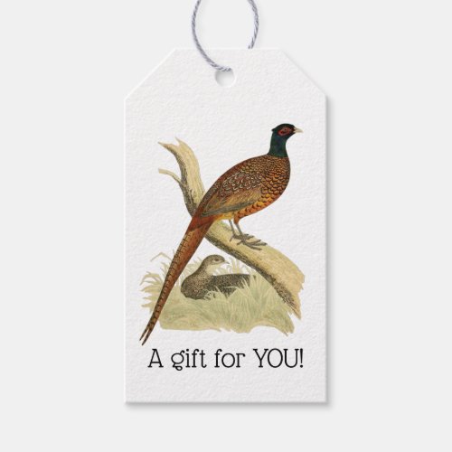 Vintage Pheasant on Branch Game Bird Drawing Color Gift Tags