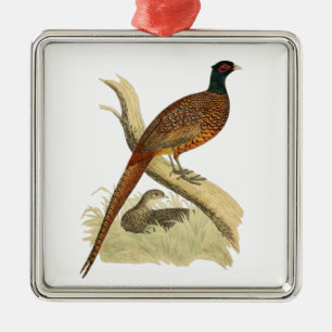 Vintage Pheasant on Branch Game Bird Drawing Color Metal Ornament
