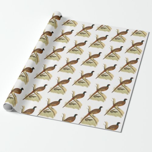 Vintage Pheasant on Branch Game Bird Drawing Color Wrapping Paper