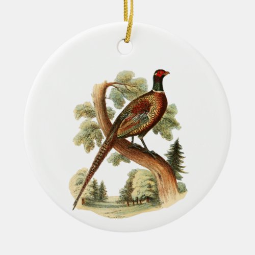 Vintage Pheasant on Branch w Trees Drawing Color Ceramic Ornament