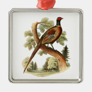 Vintage Pheasant on Branch w/ Trees Drawing Color Metal Ornament