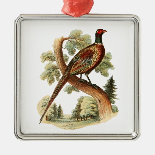 Vintage Pheasant on Branch w Trees Drawing Color Metal Ornament