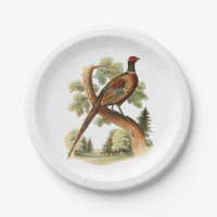 Vintage Pheasant on Branch w/ Trees Drawing Color