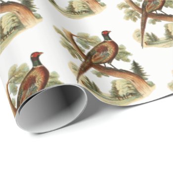Vintage Pheasant On Branch W/ Trees Drawing Color Wrapping Paper by ItsMyPartyDesigns at Zazzle