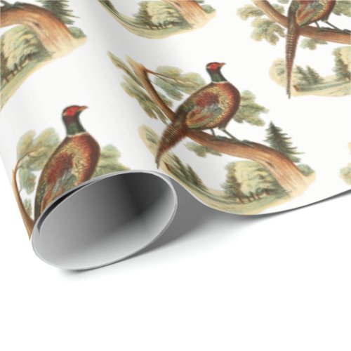 Vintage Pheasant on Branch w Trees Drawing Color Wrapping Paper