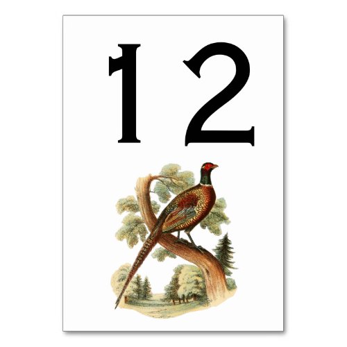 Vintage Pheasant on Branch with Trees Game Bird Table Number