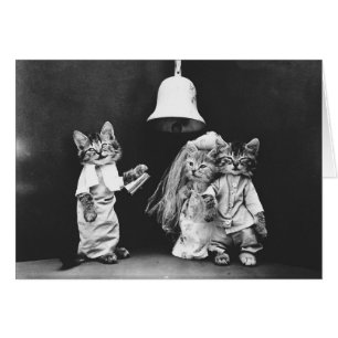 Vintage Photo - A Kitty Cat Wedding, Cards