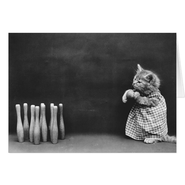 Vintage Photo - Bowling Kitten. Cards (Front Horizontal)