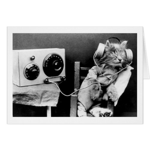 Vintage Photo _ Cat Listening to Radio