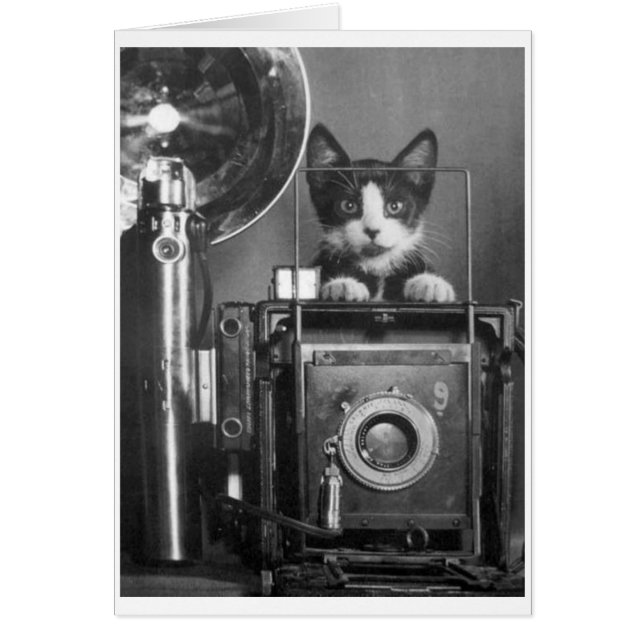 Vintage Photo -  Cat with Camera (Front)
