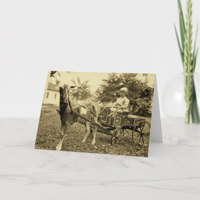 Vintage Photo- "Goat Cart" Greeting Card (Front)