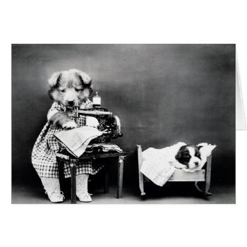 Vintage Photo - Mother Dog Sewing  by AsTimeGoesBy at Zazzle