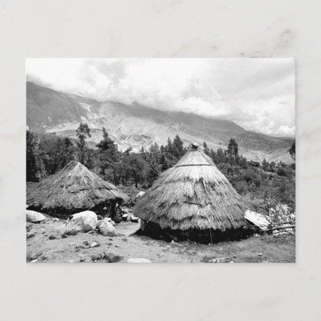 Vintage Photo of Dwellings in Peru  Postcard (Front)