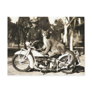 vintage photo of police officer on motorcycle puma postcard