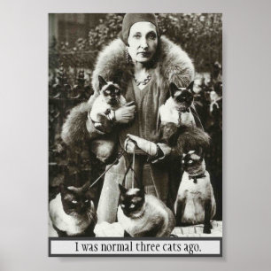 Vintage Photo of Woman & 5 Siamese Cats, Poster