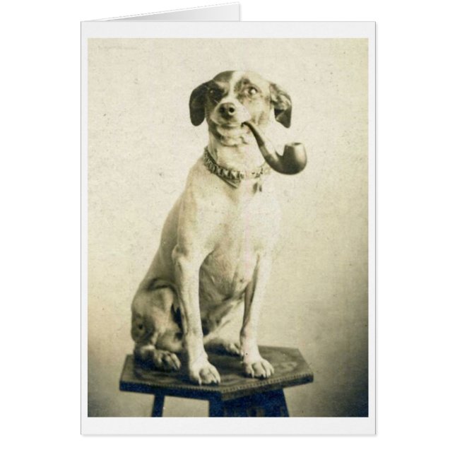 Vintage Photo - Pipe Smoking Dog, (Front)