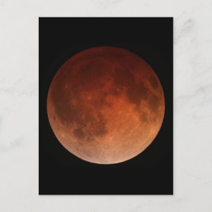 Vintage Photo Postcard