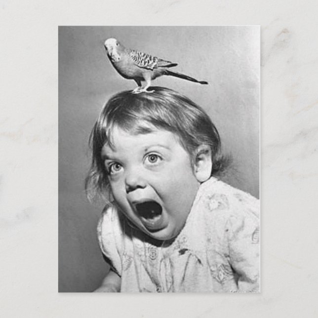 Vintage Photo Postcard (Front)