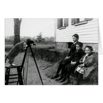 Vintage Photo - Smile For The Cat's Camera  by AsTimeGoesBy at Zazzle