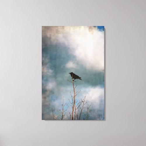 Vintage photograph of a crow on a tree canvas print