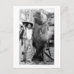 Vintage Photograph Of A Man With Giant Fish Postcard at Zazzle