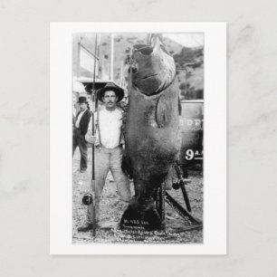 Vintage photograph of a Man with Giant Fish Postcard
