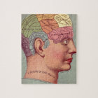 Vintage Phrenology Head