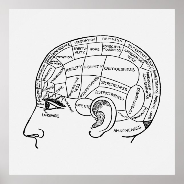 Vintage Phrenology Neurology illustrated Poster (Front)