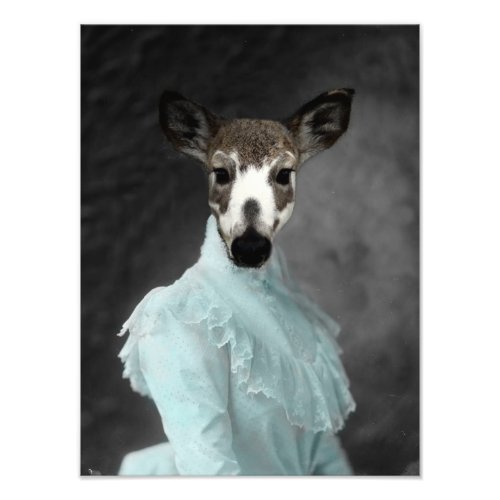 Vintage Piebald Dressed Deer Photo Print