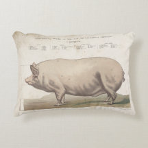 Vintage pig antique ephemera pillow