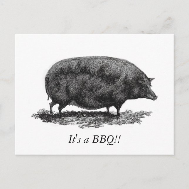 Vintage pig BBQ invitation card (Front)