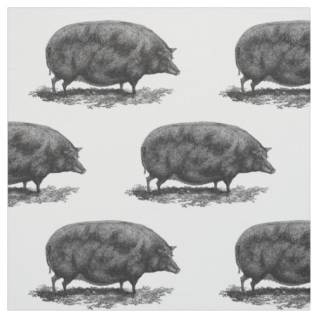 Vintage pig etching fabric (Swatch)