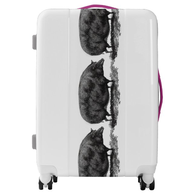 Vintage pig etching luggage (Front)