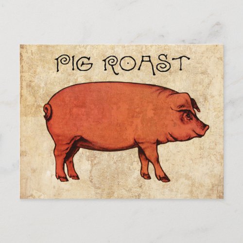 Vintage Pig Roast Postcard Invitation VI