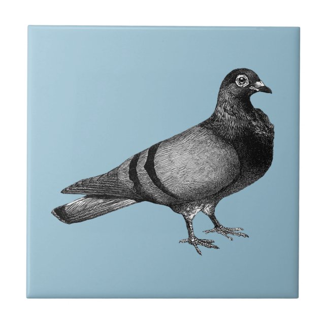 Vintage Pigeon gifts Ceramic Tile (Front)
