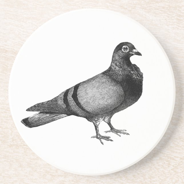 Vintage Pigeon gifts Coaster (Front)