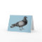 Vintage Pigeon gifts
