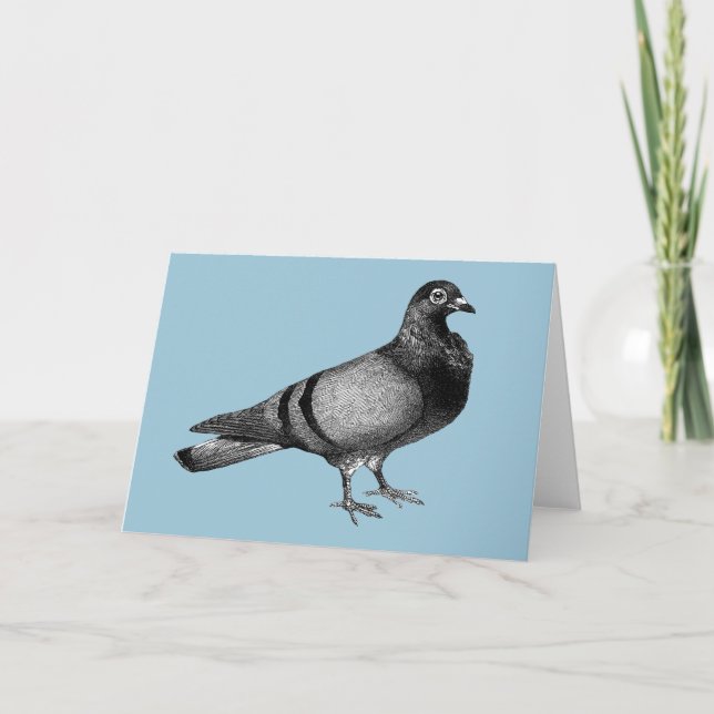 Vintage Pigeon gifts Holiday Card (Front)