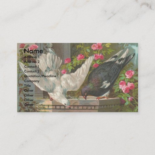 Customizable Vintage Pigeons Business Card