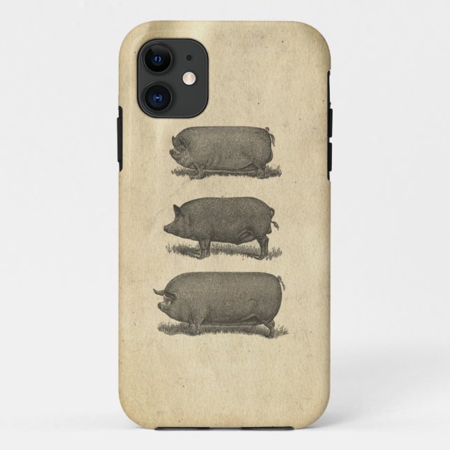 Vintage Pigs Case (Back)