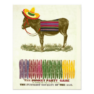 Vintage Pin the Tail on the Donkey Party Game Photo Print